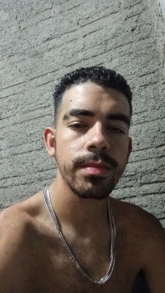 Lobo